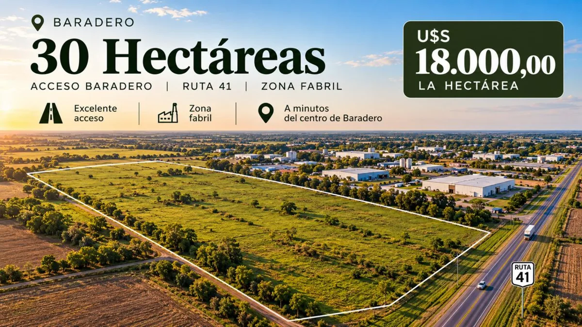 Campo Baradero 30 ha