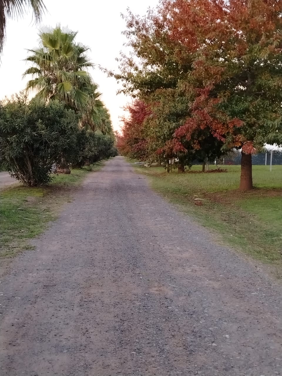 Terreno en Barancas Driving Golf – San Pedro