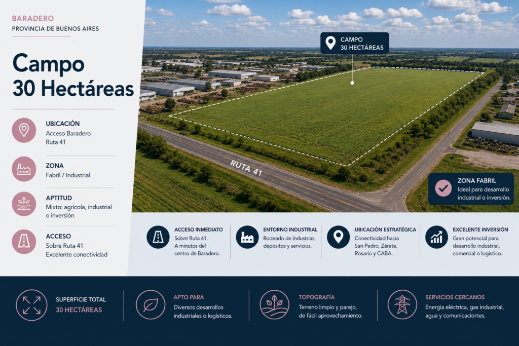 Campo Ruta 41  30 Hectareas