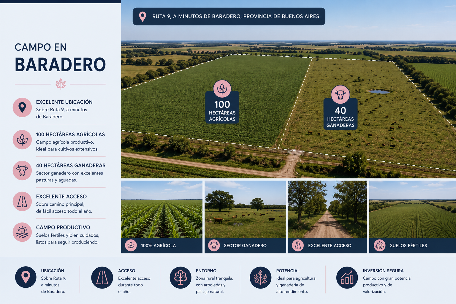Campo Baradero Mixto